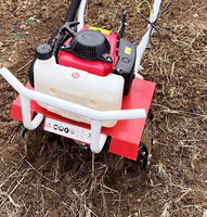 Mini Motocultor a Gasolina, Herramienta Agrícola Doméstica para Arar, Desherbar, Cavar Zanjas y Remover la Tierra