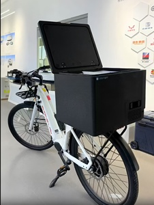 40L Xách Tay Xe Coolerbox 12V/220V <span class=keywords><strong>Mini</strong></span> Tủ Lạnh Máy Nén Tủ Lạnh Cho Cắm Trại Ngoài Trời Nhựa Cho Gia Đình Du Lịch Tủ Đông - Product Image 1