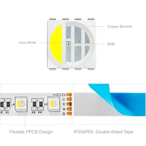 色の変更16.4Ft30Leds 60Leds 12V 24V 5050 4in1RGBWLedストリップ