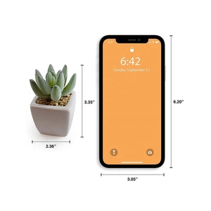 Mini-plantes succulentes en gros avec pot en céramique blanche, faux bonsaïs succulents assortis <span class=keywords><strong>pour</strong></span> la décoration intérieure, commande en gros disponible - Product Image 2