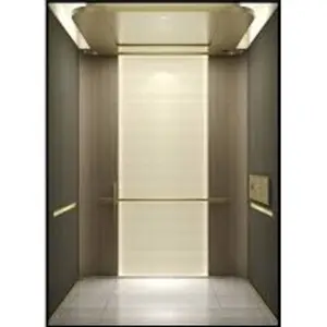 Passenger Elevator 8 persons 630kg Apartment Lift Factory Price