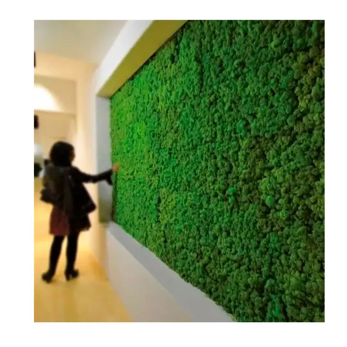 moss wall panel decoration preserved moss grass wall art home decor art wall decor