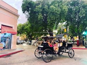 Carro de turismo sin caballos real europeo, parques de atracciones para paseos en carro eléctrico, venta de transporte especial - Product Image 2