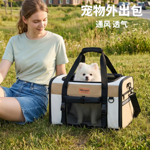 Sac de transport transparent en maille souple pour animaux de compagnie, noir, en nylon, avec fermeture éclair, motif chat de dessin animé, forme carrée, taille L pour chats - Product Image 4