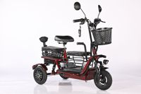 Tricycle électrique pliable portable à 3 places, double propulsion, panier de rangement, excellente capacité de montée, pour parents et enfants, transport de personnes âgées, charge de 200 kg