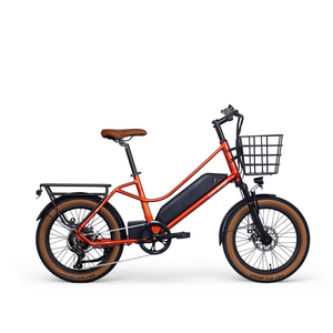 Bicicleta Eléctrica Urbana <span class=keywords><strong>EZREAL</strong></span> de 350W, 20 Pulgadas, Motor Trasero, 36V, Vehículo de Reparto Electrónico Inteligente, Batería Integrada de 14Ah - Product Image 5
