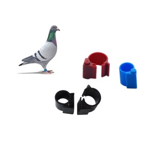 Small Size Training Identification Hf Uhf Bird Leg <strong>Rings</strong> Rfid <strong>Pigeon</strong> Foot <strong>Ring</strong> Microchip <strong>Tag</strong> - Product Image 6