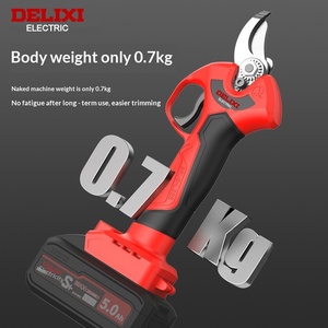 กรรไกรตัดแต่งกิ่งผลไม้ Delixi แบบมีด้ามยืดหดได้ สำหรับสวนและป่า ใช้ได้ในที่สูง - Product Image 3
