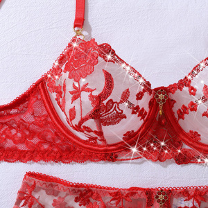 MXZ4850A Lingerie Sexy di Lusso, Set Erotico Femminile in Rete Ultra-Sottile con Ricami di Rose Rosse e Strass, Alta Qualità Francese - Product Image 6