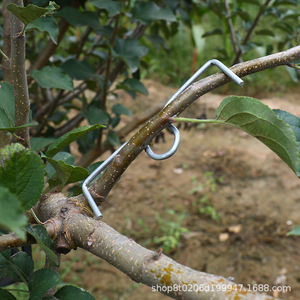 M Type Fruit Tree Branch Puller Zinc Plated Adjustable <b>Hook</b> For Apple Citrus Shaping Horticulture Agriculture Planting - Product Image 2