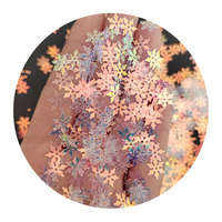 Paillettes de couleur AB pour l'arthrite des ongles, lettres étoiles, licornes, feuille de fleur, flocon de neige, Paillettes, Slime