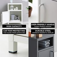 Moderno Armario de Almacenamiento de Acero Gris Oscuro de 1 Puerta, 13.8 x 13.8 x 20.1 Pulgadas, Altura Ajustable, Organizador Multiusos para Sala de Estar