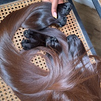 Vente en gros de mèches de cheveux humains Remy bon marché, fournisseur de cheveux humains brésiliens, fournisseur de mèches de cheveux vierges de qualité 12A
