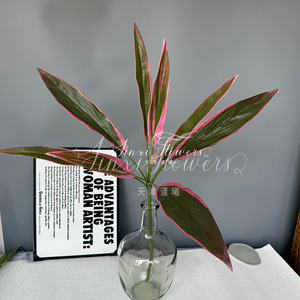 Plante artificielle Cordyline Fruticosa Jinxi 80cm, bord rose, caoutchouc souple, décoration intérieure pour mariage et maison - Product Image 3