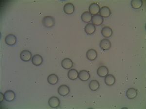 Partículas de Poliestireno Virgen No Modificado para la Fabricación de Plantillas Coloidales Ordenadas e Investigación sobre la Modificación de Materiales Compuestos - Product Image 2