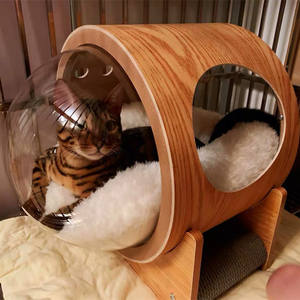 unusual cat beds