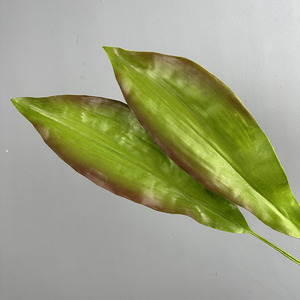 Feuilles d'<span class=keywords><strong>Aspidistra</strong></span> artificielles au toucher réel en PU, haute simulation, pour arrangements floraux et verdure de mariage - Product Image 4