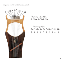 Harpe lyre Walter de haute qualité à 10 cordes pour la vente en gros avec bois d'acajou
