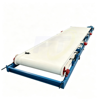 Laveuse automatique de tapis pour la récupération des minerais de minerai de tungstène, de tantale et de niobium, et des déchets miniers d'or (0208)