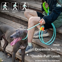 Laisse pour chien de grande taille, en nylon, solide, confortable, avec poignée rembourrée, longueur réglable, anti-explosion, durable