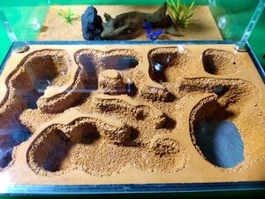 <span class=keywords><strong>Fourmilière</strong></span> rectangulaire moderne en acrylique écologique pour l'éducation scientifique et l'enseignement scolaire - Product Image 4