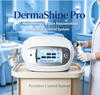 Pistolet de mésothérapie Dermashine Pro, hydratant, lifting facial, rouleau de glace pour le visage, injection sous vide, pistolet de rajeunissement cutané à 9 aiguilles