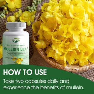 Oem ODM Hot Bán thảo dược bổ sung mullein lá chiết xuất viên nang cho phổi hỗ trợ sức khỏe - Product Image 4