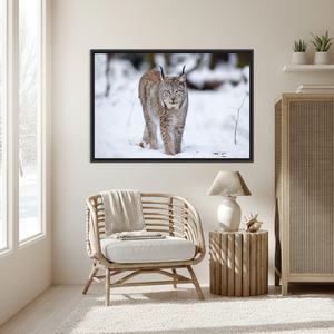 Lynx Cat Tempered Glass Wall Art: Printed <b>Canvas</b> Winter Animal Decor,BLACK <b>FRAMED</b> <b>CANVAS</b> - Product Image 3
