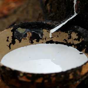 Baiyue's Top-Tier Premium Vietnam HA Latex (60% DRC) Caoutchouc de qualité supérieure pour chaussures Gants Adhésifs Meilleur prix - Product Image 1