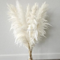 Fleurs de pampa décoratives préservées pour mariage, salon, décoration intérieure - Longue durée (3-5 ans) - Saint-Valentin et Thanksgiving