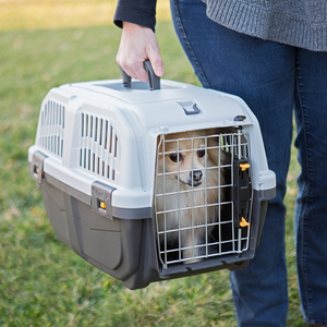 Fast Delivery Fashion Airline Approved Portable PP Large Air Travel Kennel on Wheels Pet Dog Cat Carrier <b>Crate</b> Cage - Product Image 6