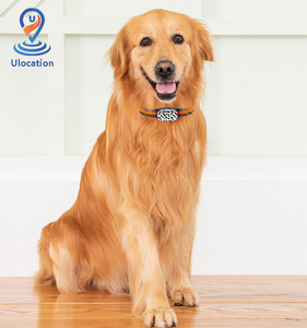 Venta caliente lindo útil localizador de mascotas para perro gato sin límite de distancia posicionamiento en tiempo Real tarjeta Sim Animal mascota Gps Tracker G61 - Product Image 4