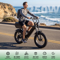 Bicicleta Eléctrica YANGOR Y20 Plus, 48V 250W, Suspensión Completa, Neumáticos Anchos, Bicicleta de Montaña Eléctrica