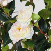 Planta Artificial de Camelia en Maceta de Plástico para Interiores y Exteriores, Decoración de Oficina, Jardín y Hogar, Árboles Artificiales, Plantas Falsas