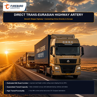 Expédition directe de camions Firebird pour de grandes envois vers l'Europe, FBA, avec tri par courrier, fret compétitif pour cartons et palettes.