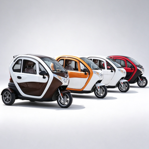 Nouveau <span class=keywords><strong>Tricycle</strong></span> Électrique 2000W à Deux Portes et Trois Places Entièrement Fermé pour Adultes ; Scooter de Mobilité pour Personnes Âgées ; Véhicule - Product Image 3