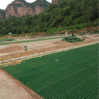 Grille de gazon en plastique, grille de pavage pour gazon, haute résistance, perméable, pour allées d'accès d'incendie, protection des pentes de jardin, stabilisation du sol