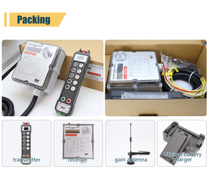 Control Remoto Inalámbrico Industrial <span class=keywords><strong>de</strong></span> 10 Botones y Una Sola Velocidad, Resistente al Agua IP67, Transmisor y Receptor <span class=keywords><strong>de</strong></span> Radiofrecuencia para Grúas - Product Image 6