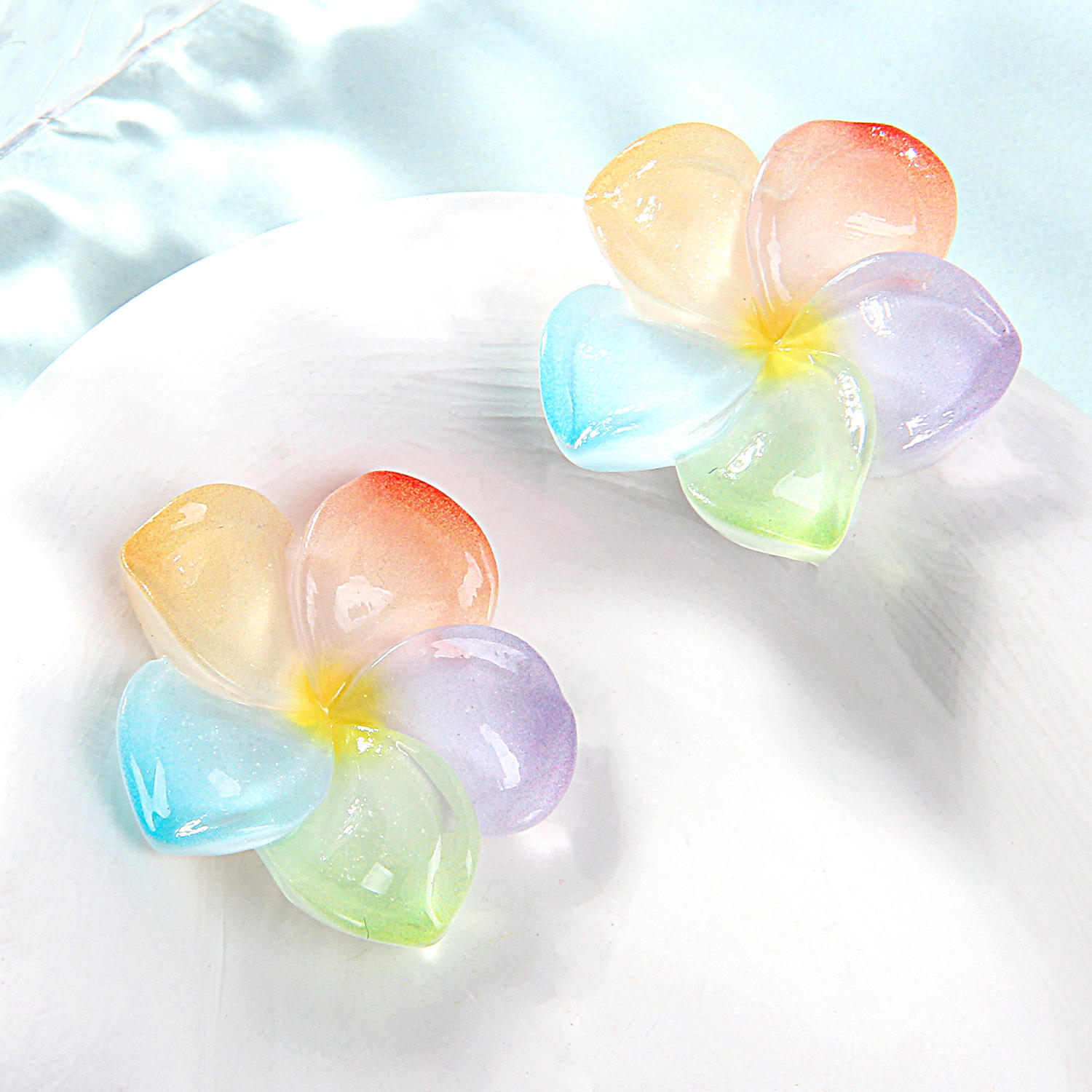 Frangipanier bicolore