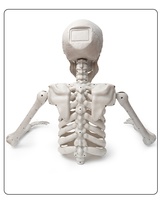 Squelette géant demi-corps en plastique de 120 cm pour Halloween, idéal pour l'intérieur et l'extérieur - Modèle transfrontalier Buke 67674