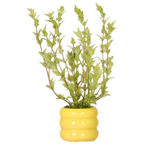 Plantes artificielles <span class=keywords><strong>en</strong></span> <span class=keywords><strong>pot</strong></span> <span class=keywords><strong>de</strong></span> <span class=keywords><strong>vanille</strong></span> FAUX, plantes vertes artificielles personnalisées KH Outdoor pour la décoration <span class=keywords><strong>de</strong></span> la maison et des hôtels - Product Image 5