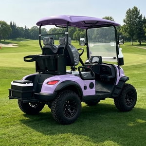 Carrito <span class=keywords><strong>de</strong></span> Golf <span class=keywords><strong>de</strong></span> Lujo para 2 Pasajeros <span class=keywords><strong>con</strong></span> Batería <span class=keywords><strong>de</strong></span> Litio, Homologado para Calle, <span class=keywords><strong>con</strong></span> Certificación CE DOT y Refrigerador para Golf y Recorridos Turísticos - Product Image 3