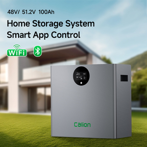 5KWh 51.2V 100Ah LiFePO4 Power <b>Wall</b> Battery Module Modular Home Energy <b>Storage</b> Parallel Support 16 <b>Units</b> Smart BMS - Product Image 2