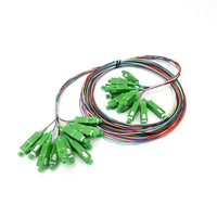 In Stock Original 2m Length G657A1 12 Cores Singlemode 9/125 Fiber Optical Jumper SC APC Fiber Optic Patch Cord Pigtail Cables