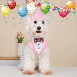 Nouvelle décoration de fête chapeau animal de compagnie anniversaire Triangle écharpe chien chat ensemble - Product Image 1