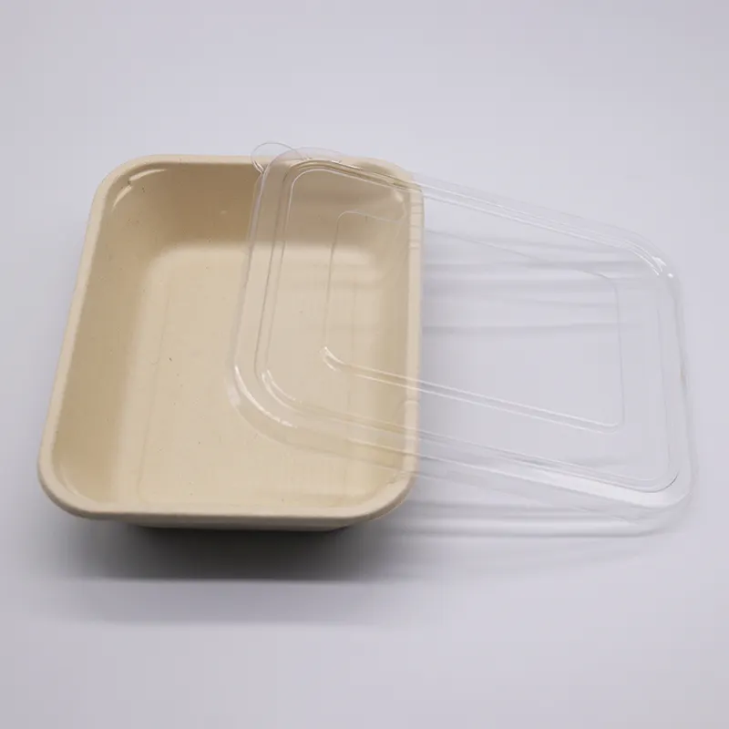 PFAS-Free 100% Compostable Disposable Takeaway Lunch Box with Lid 2 ...