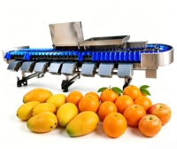 Systeem voor het sorteren van fruit en groenten op kleur voor grote voedselverwerkingsbedrijven