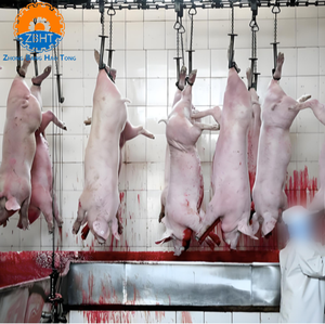 Attrezzatura Completa per la Macellazione di Suini per Mattatoi, Macchinari ad Alta Capacità per la Lavorazione della Carne Suina con Motore e Cuscinetti, Design Personalizzabile - Product Image 1