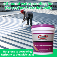 Vente directe d'usine - Revêtement imperméable en polymère acrylique pour murs extérieurs - Revêtement flexible pour sols et surfaces murales