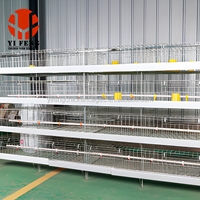 Cage d'élevage de poussins multi-niveaux en acier galvanisé à chaud de haute qualité, équipement professionnel d'élevage avicole pour poussins pondeuses